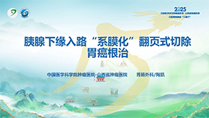 胰腺下缘入路“系膜化”翻页式切除胃癌根治